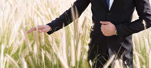 Klimaschutzmanager - Geschäftsmann, der auf einem Feld steht und das hohe Gras mit der Hand berührt.
