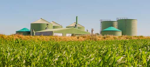 Energieerzeugung aus Biomasse: Nachhaltige Energie für eine grüne Zukunft