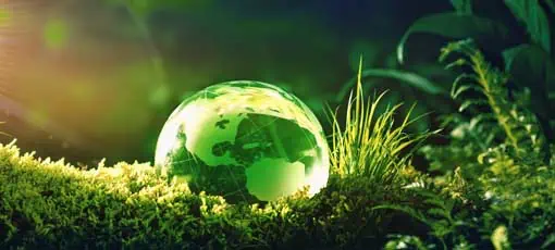 Glaskugel auf Grünmoos im Naturkonzept für Umwelt und Naturschutz